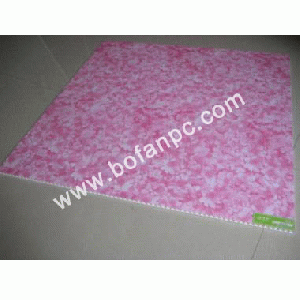 PVC Ceiling PanelBF-6001a